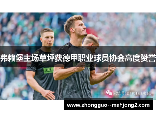 弗赖堡主场草坪获德甲职业球员协会高度赞誉