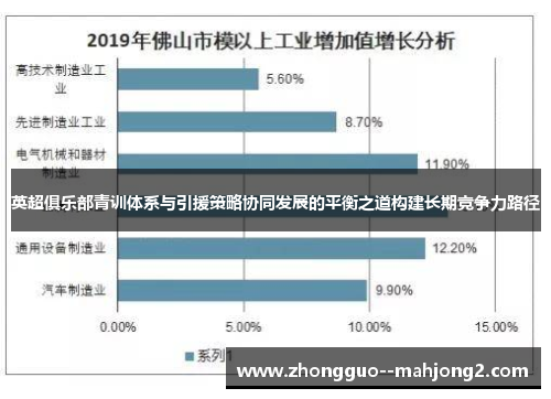 英超俱乐部青训体系与引援策略协同发展的平衡之道构建长期竞争力路径 英超俱乐部青训体系与引援策略协同发展的平衡之道构建长期竞争力路径