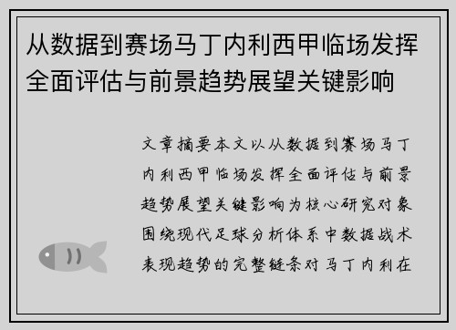 从数据到赛场马丁内利西甲临场发挥全面评估与前景趋势展望关键影响